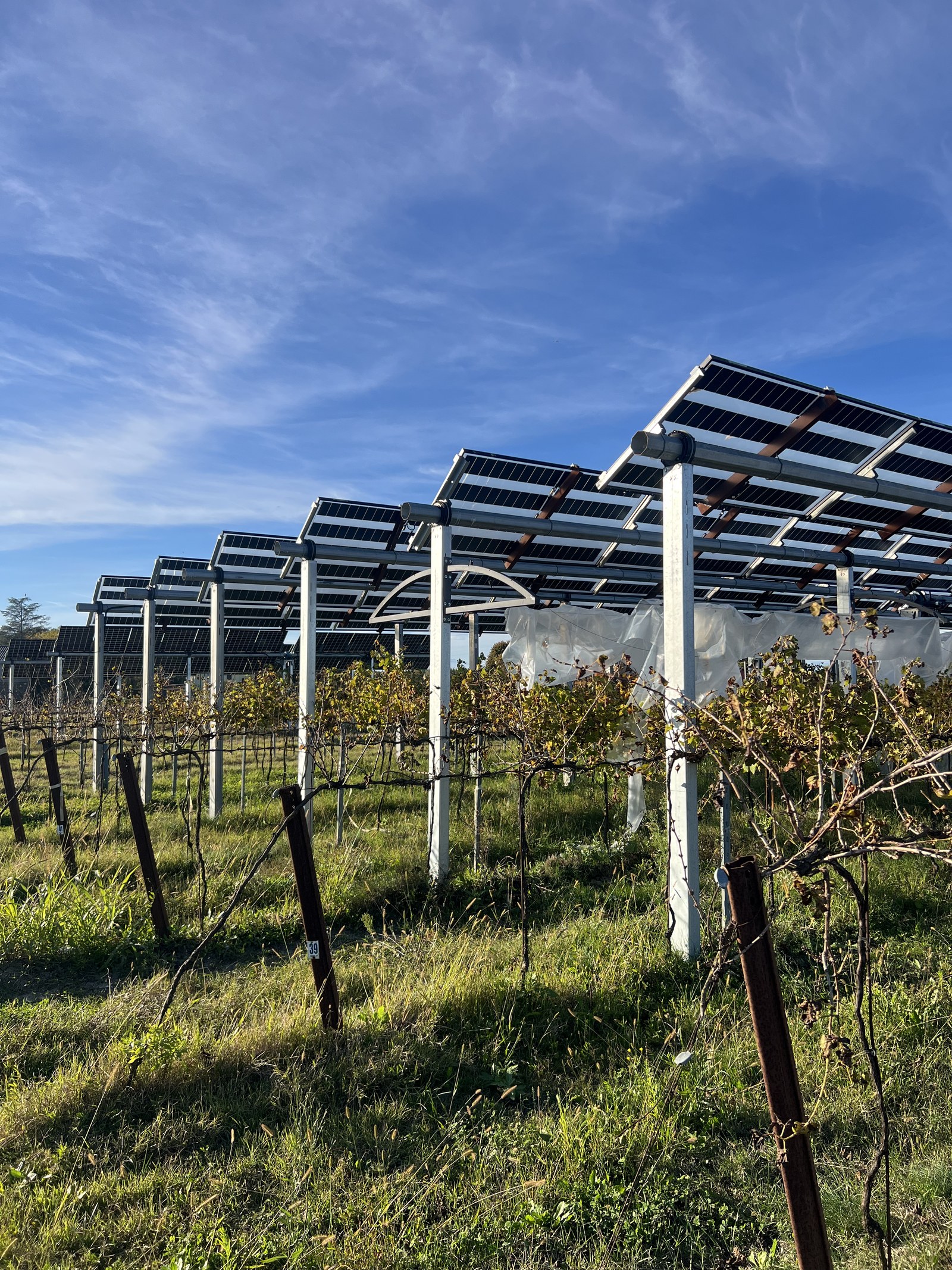 Agro tracker over vineyard