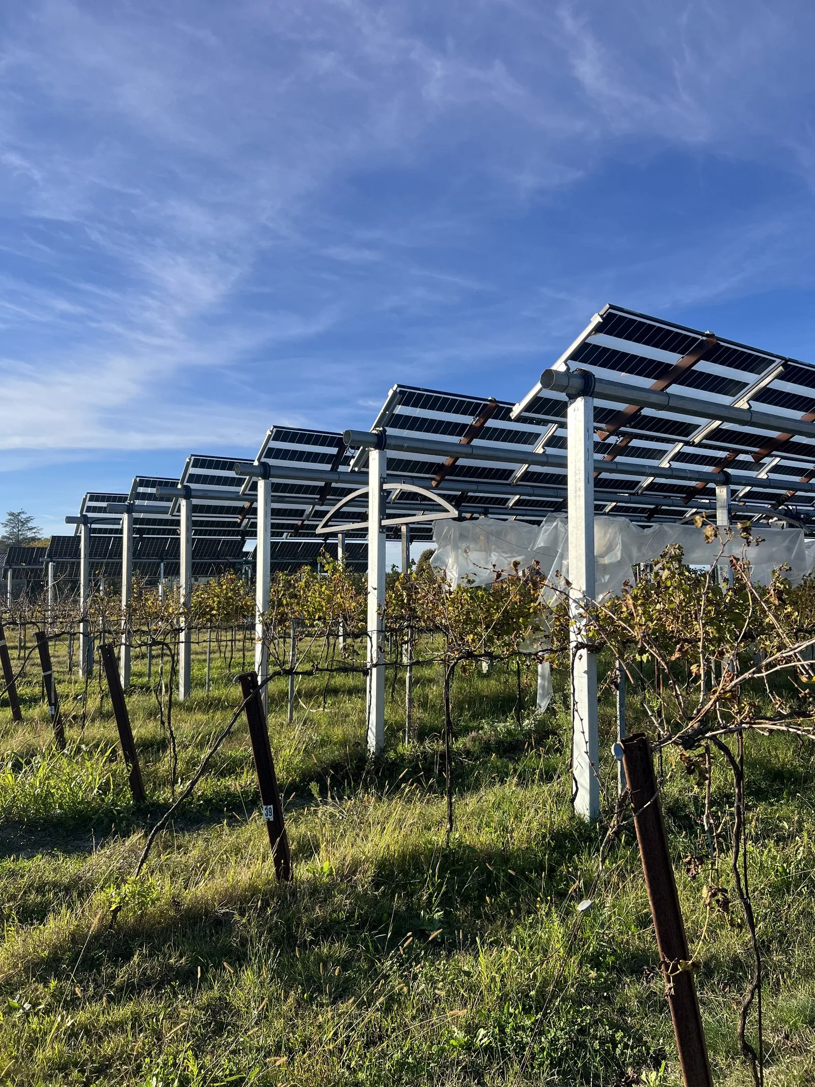 Agro tracker over vineyard