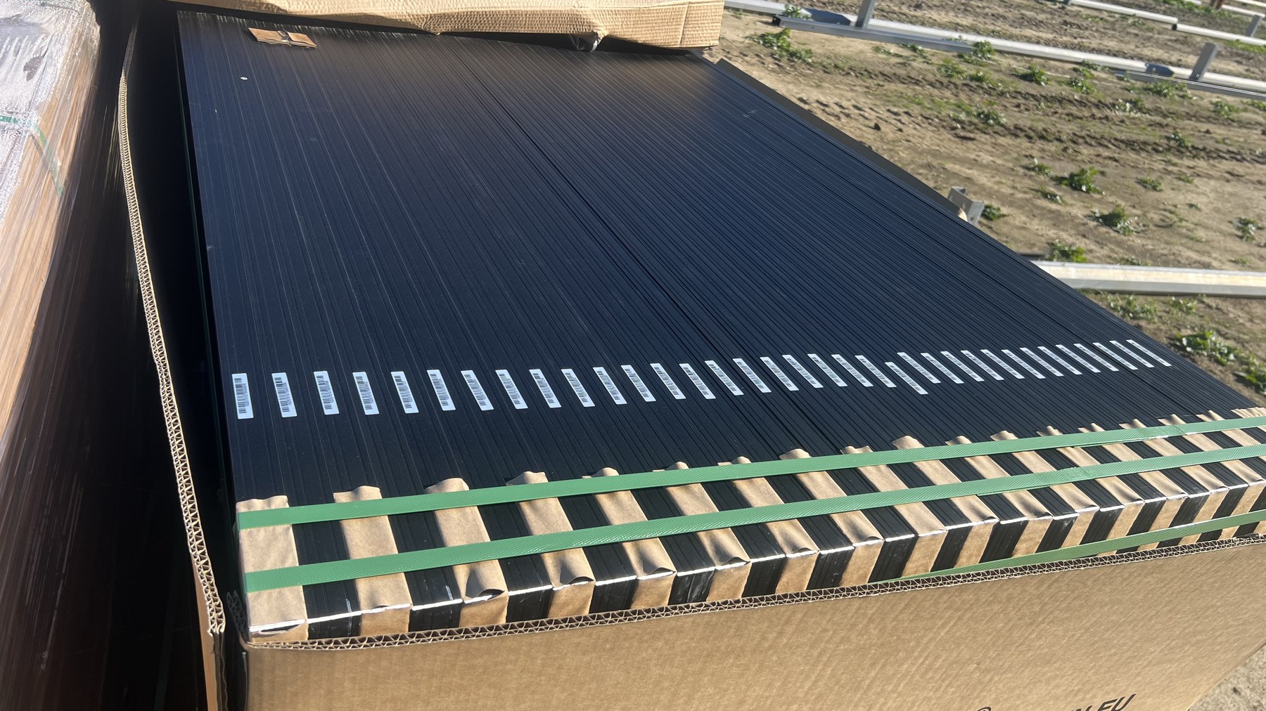 SUNERG TopCon bifacial solar panels